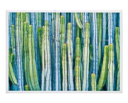Cactus I Wall Art